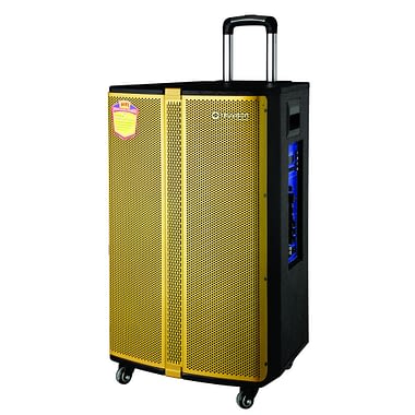 DJ SOUNDBANK GOLD SERIES TROLLEY SPEAKER with Bluetooth - Buy DJ SOUNDBANK GOLD SERIES TROLLEY SPEAKER Online at Best Price | Truvison. Available at ₹20,990